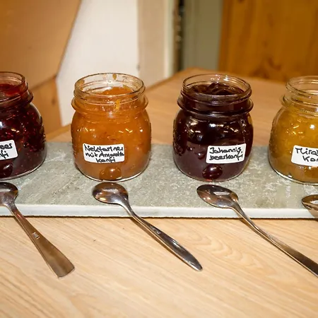 Pensiun Lischana Guest house *